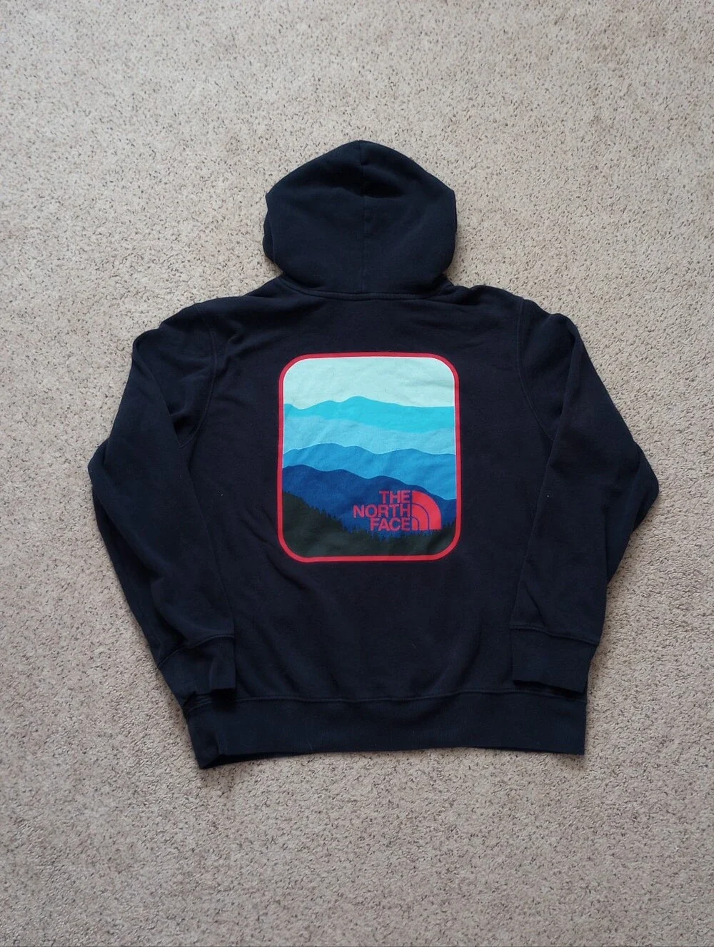 The North Face Hoodie Men's Large Blue & Red